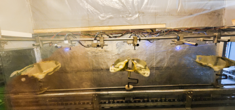 Image Not Found On Media Library